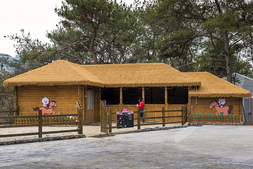 杭州千岛湖开元森泊焕境乐园第 30 张图片