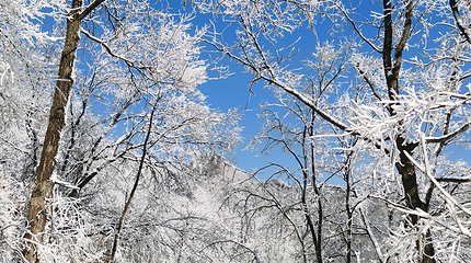 大别山滑雪旅游度假区第 9 张图片