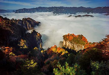 光雾山旅游景区第 60 张图片
