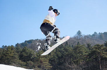 大明山万松岭滑雪场第 17 张图片