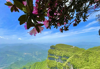 汉中龙头山国际旅游度假区第 57 张图片