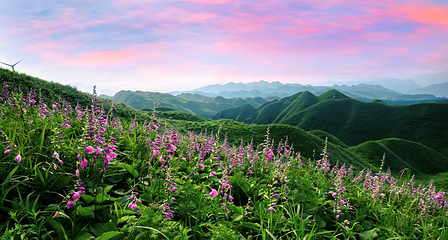 金沙玉簪花云海景区第 3 张图片