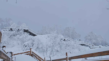 雪乡狗熊岭景区第 56 张图片