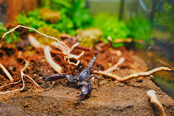 龙池坪生物多样性研学基地第 10 张图片