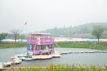 蓝田紫林旅游度假区第 92 张图片