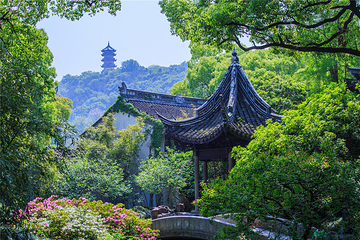 惠山古镇·寄畅园第 27 张图片