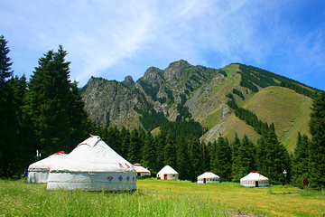 南山牧场西白杨沟景区第 43 张图片