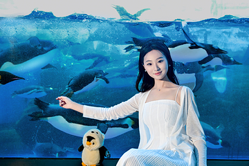老虎滩海洋公园第 27 张图片