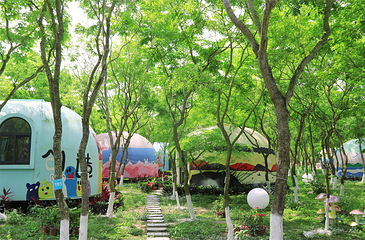 海南花梨谷文化旅游区第 44 张图片