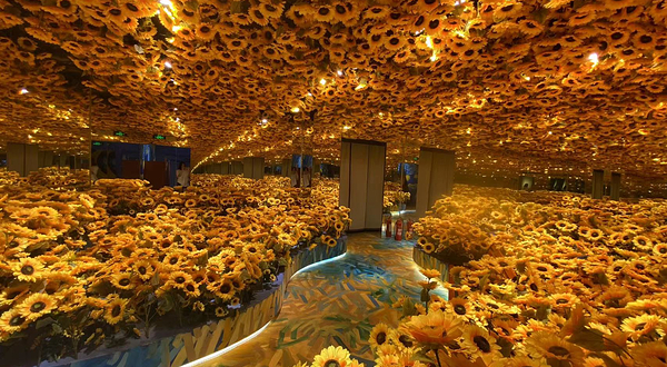 广州梵高星空艺术馆(天宜广场店)