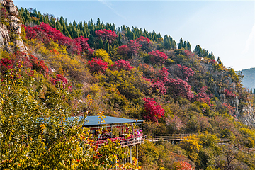 青铜山大峡谷第 79 张图片