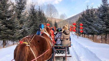 亚布力东北冰雪民俗村第 1 张图片