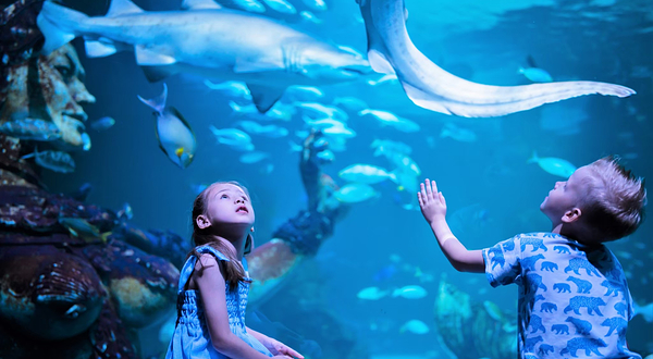 普吉Aquaria海洋水族馆