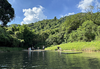 天龙溪自然风景区第 16 张图片