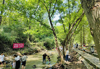 平桥石坝第 5 张图片