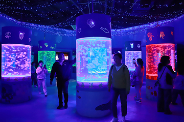 寿光极地海洋世界第 26 张图片