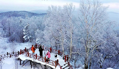 雪乡狗熊岭景区第 49 张图片