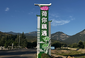 荷你藕遇第 5 张图片