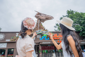 九道山生态旅游区第 46 张图片