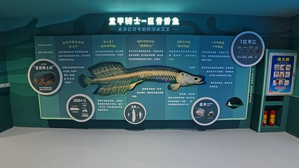 东莞隐贤山庄·潮汐海洋世界第 31 张图片
