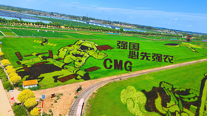 稻渔空间第 19 张图片
