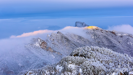 洛阳白云山风景区第 63 张图片