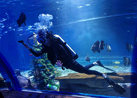 唐山海昌海洋馆(名仕奥特莱斯时尚广场店)