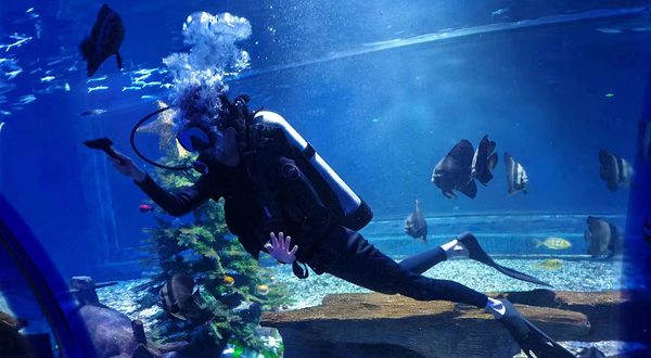 唐山海昌海洋馆(名仕奥特莱斯时尚广场店)