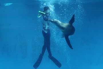 下田海中水族馆第 10 张图片