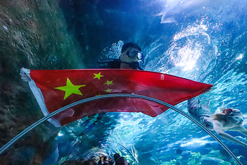 大连圣亚海洋世界第 9 张图片
