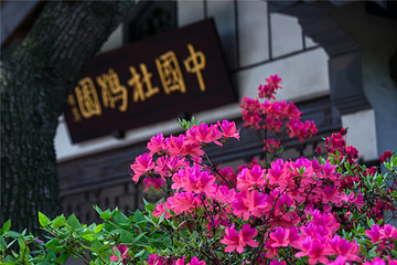 惠山古镇·寄畅园第 29 张图片