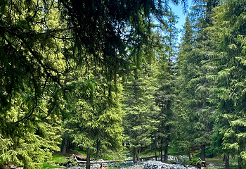 南山牧场西白杨沟景区第 51 张图片