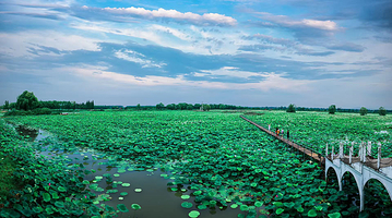 洪湖生态旅游区