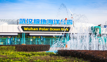 海合安武汉极地海洋公园第 182 张图片
