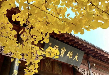 灵岩寺第 53 张图片