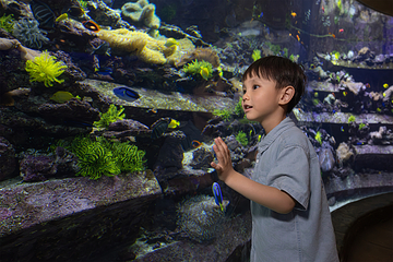 三亚亚特兰蒂斯失落的空间水族馆第 58 张图片