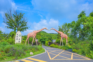 湖州长颈鹿庄园