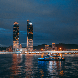 鹭江夜游