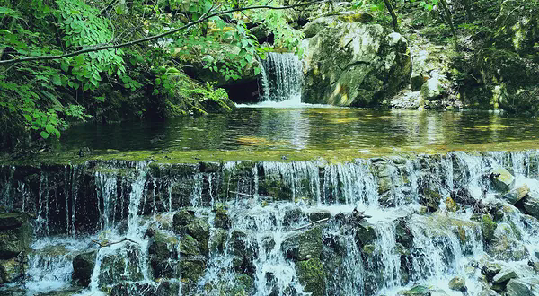 青峰峡森林公园