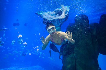 福州罗源湾海洋世界旅游区第 59 张图片