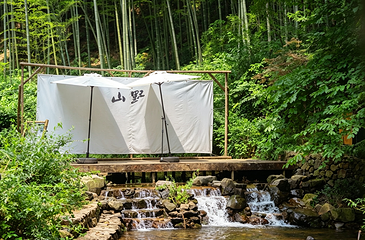 南山竹海地轨第 9 张图片