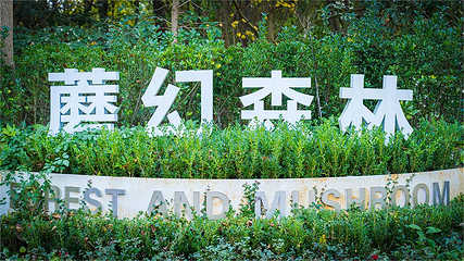 蘑幻森林第 10 张图片