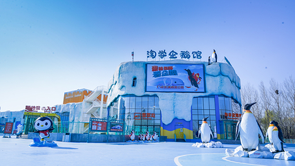 哈尔滨极地公园·极地馆第 23 张图片