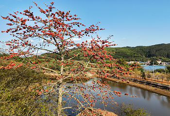 蓝田紫林旅游度假区第 88 张图片