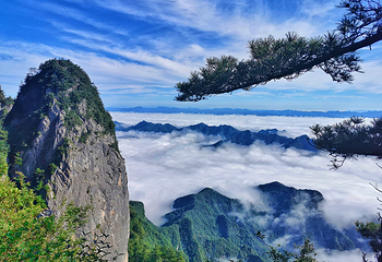秦岭天竺山生态文化旅游景区第 33 张图片