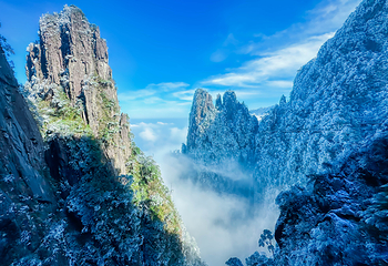 莽山五指峰景区第 25 张图片