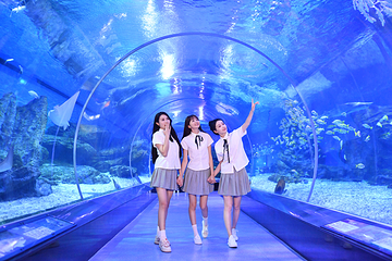 海合安武汉极地海洋公园第 2 张图片