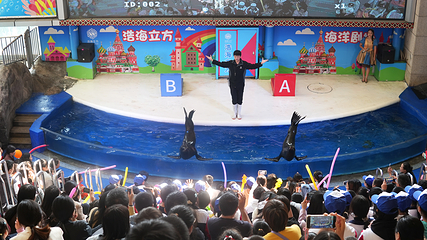 海滨城浩海立方海洋公园第 12 张图片
