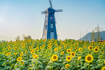 英山四季花海景区第 1 张图片