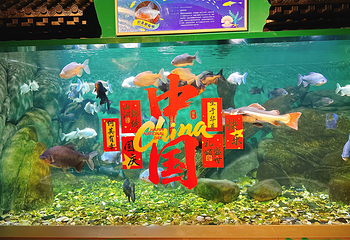常州海昌海洋探索馆第 37 张图片